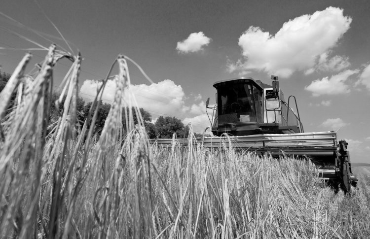 Agribusiness in Ukraine: investments or risks?